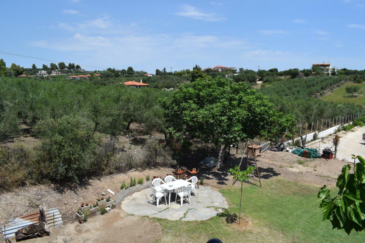 Lucid Dream Apt. |Bozinis Psakoudia Exterior foto